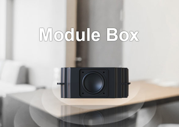 Module Box